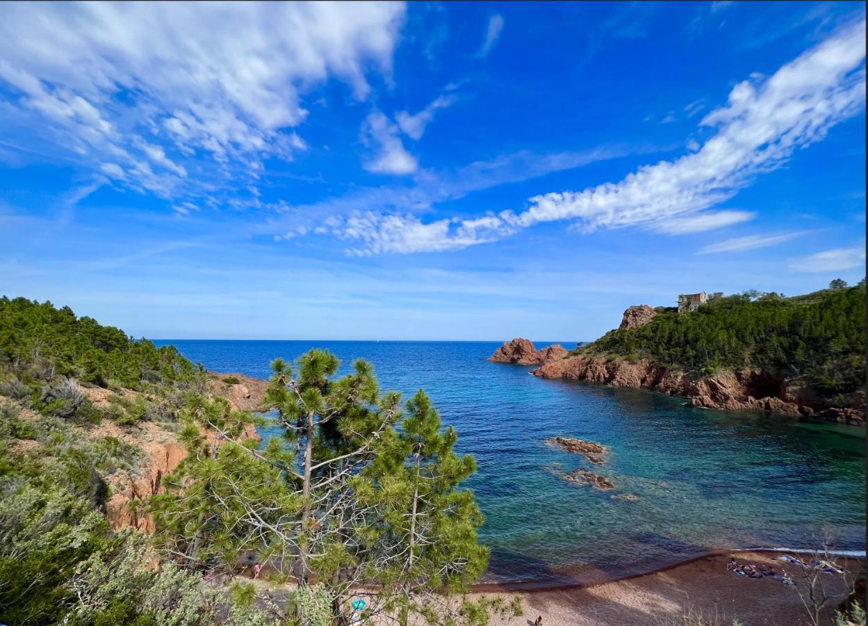 Les Cactus Frejus Plage Ngoại thất bức ảnh