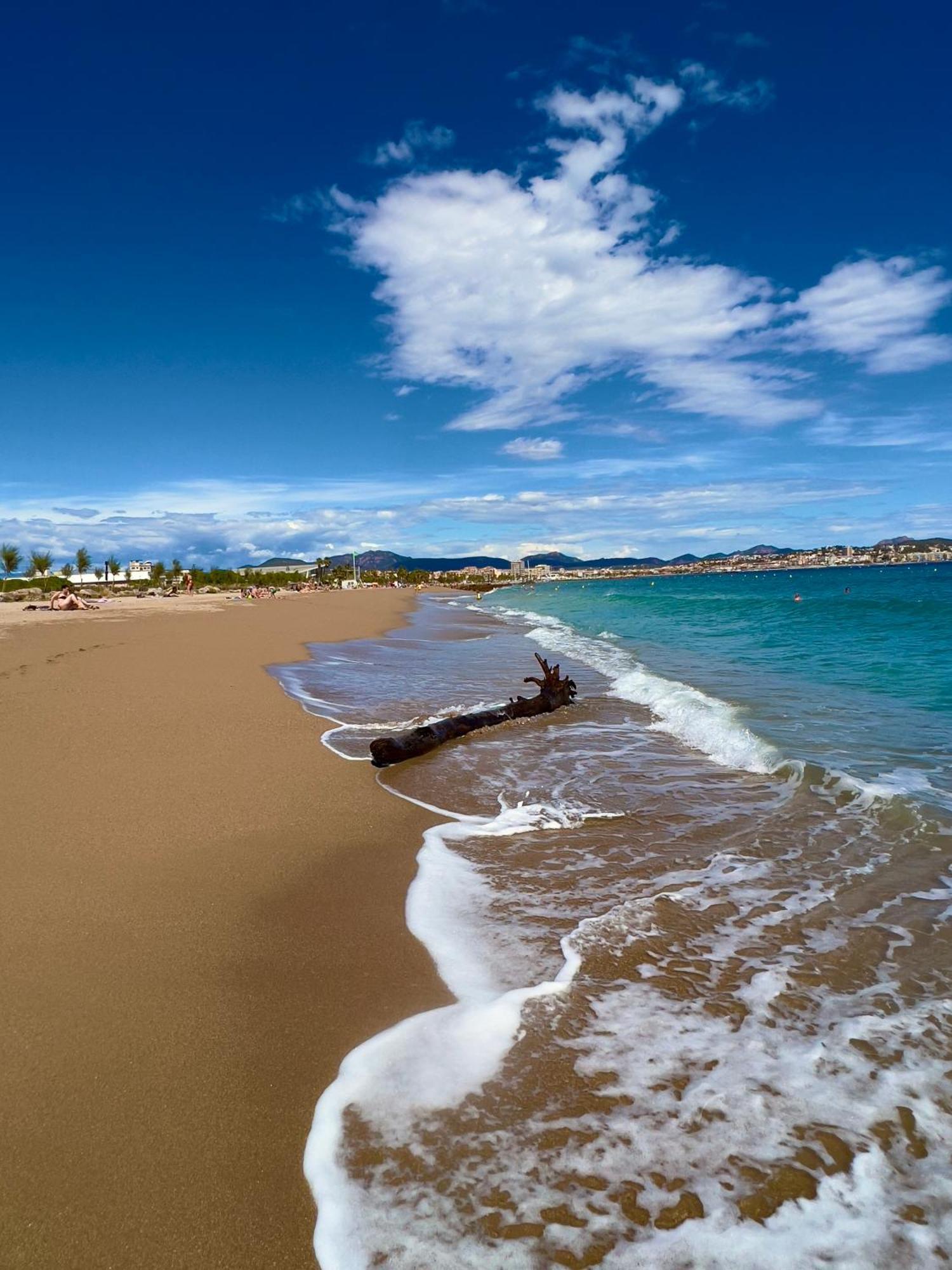 Les Cactus Frejus Plage Ngoại thất bức ảnh
