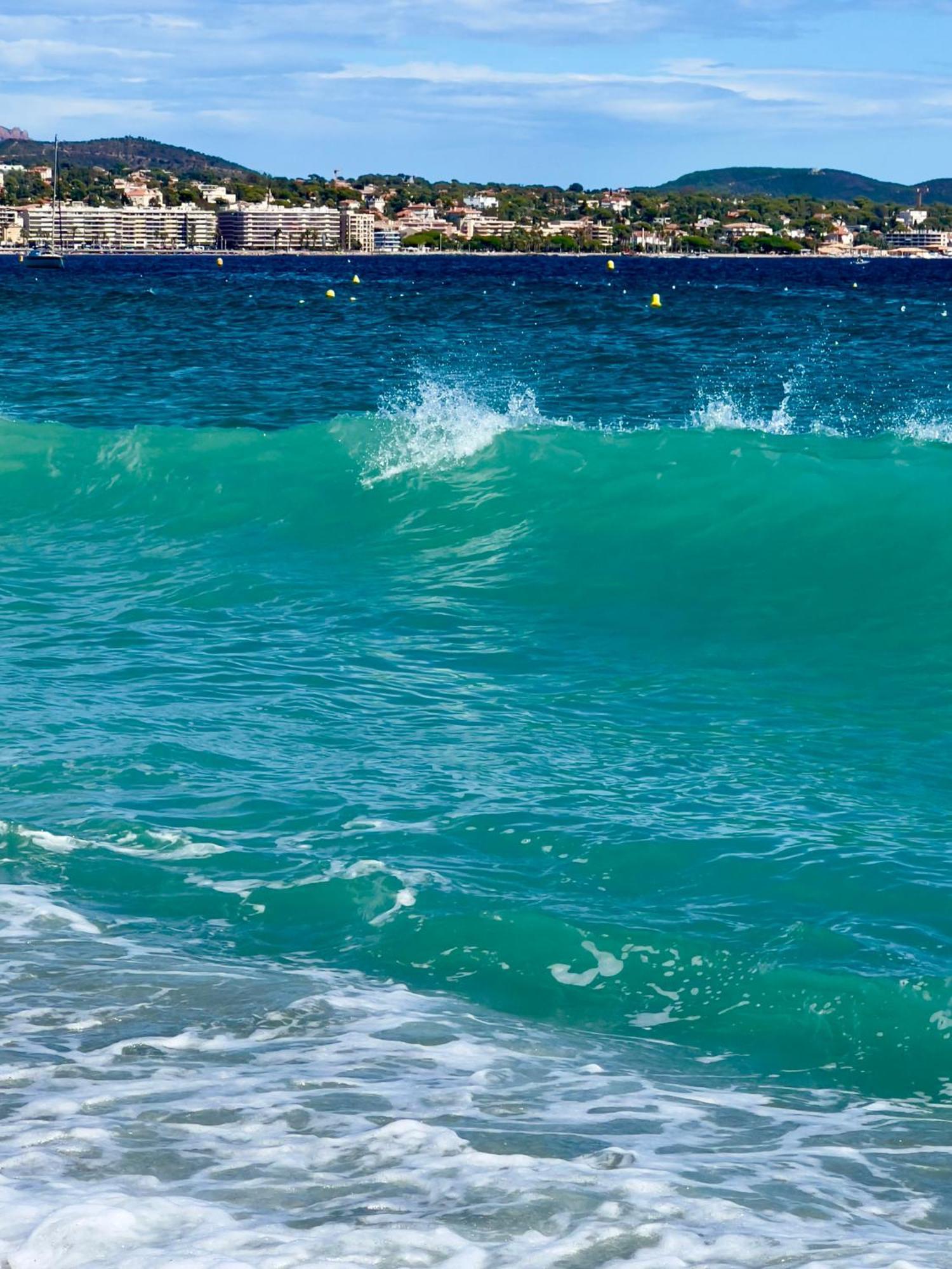 Les Cactus Frejus Plage Ngoại thất bức ảnh